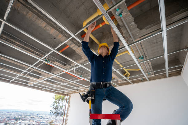 Best Toilet Repair Services  in Doney Park, AZ